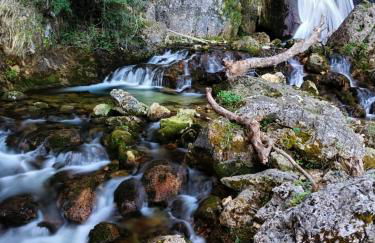 Casa Rural la Piedra del Cambrón - Foto 6