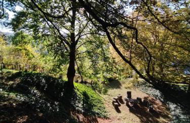 Panoramahaus Sauerland - Foto 33