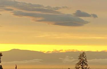 Ausblick apartments - Foto 41