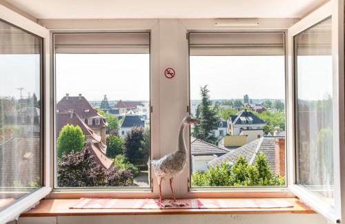 GANZALIESELE - Foto 19