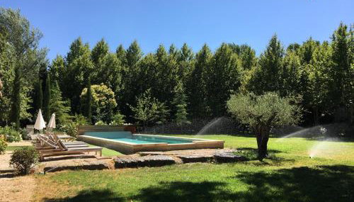 mas des pampres - Foto 2, Garden, Garden view