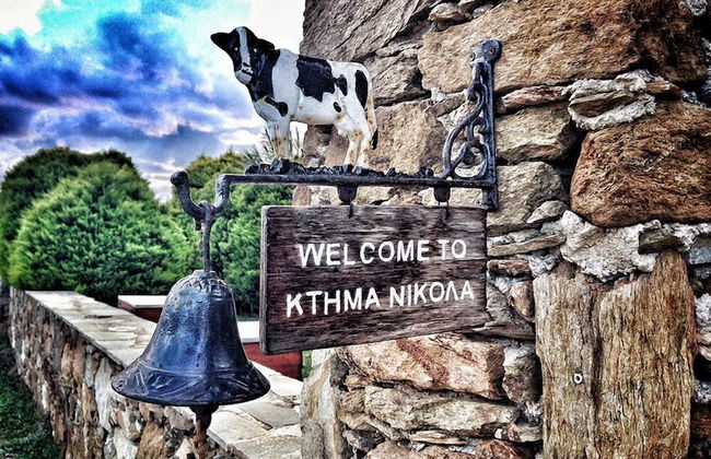 Ktima Nikola - Photo 38