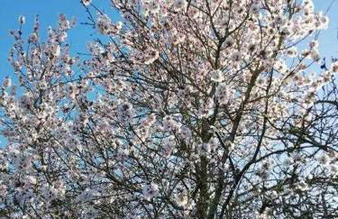 Casa La Veguetilla en San Mateo - Foto 2