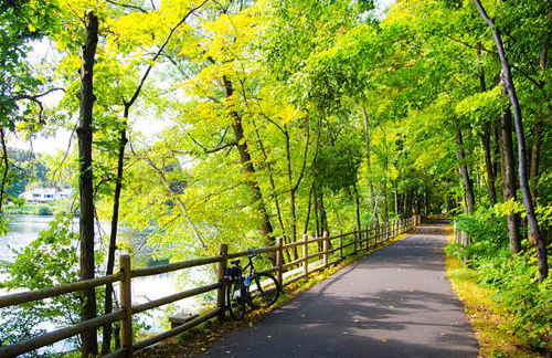 NatureGlow Residence Stylish Contemporary Home - Foto 42