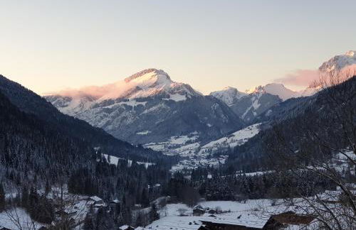 Chalet le Petit Ramoneur - Foto 52