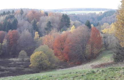 Ferienwohnung Schlossblick - Foto 29