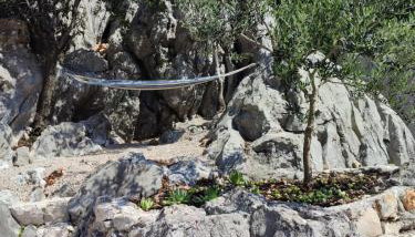 Villa Vilić - Foto 4