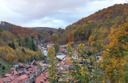 Stillvolle Designwohnung im historischen Zentrum - Foto 60