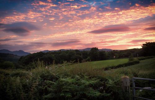 Maes Madog Cottages - Foto 53