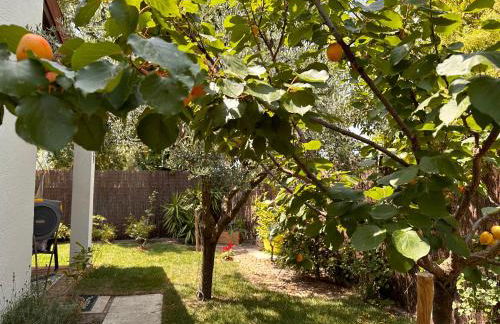 Villa Gecko - Foto 20