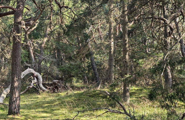 Luxury Retreat in Liseleje - By Traum Ferienwohnungen - Foto 9