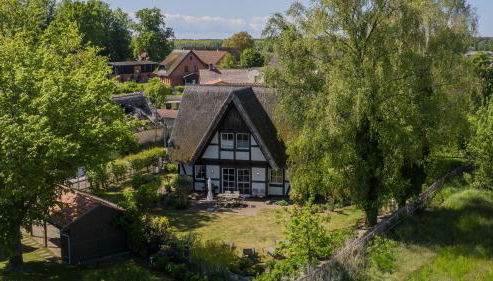 Ferienhaus Flieder - Foto 5, Garden, Garden view