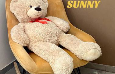 SUN Apartment - Foto 17