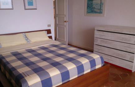 marazul del sur - Foto 7