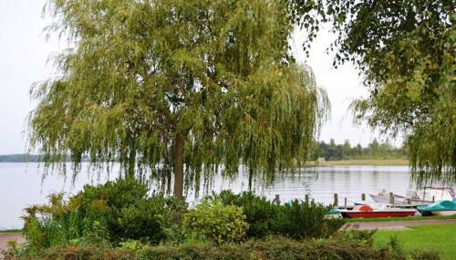 Ferienwohnung mit Terrasse und in Seenähe - Foto 4