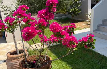 Rose garden home - Foto 14