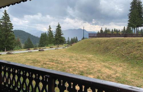 La forêt des Rennes - Foto 14