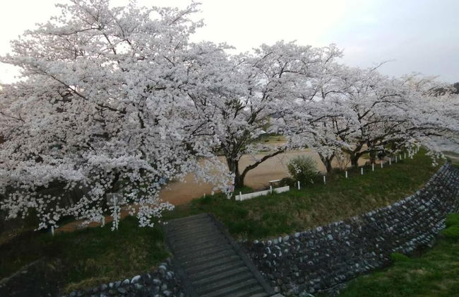 Green House - Foto 17