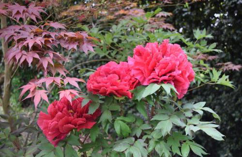 Fosbroke Cottage - Photo 8