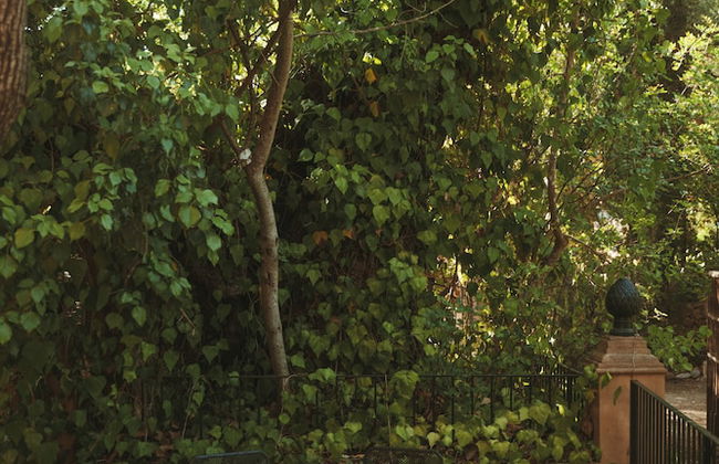 Rondaia Boutique Vineyard Stay – Mallorca, Tramuntana - Foto 77