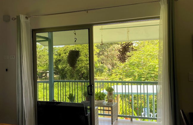 Morning Glory - Foto 2