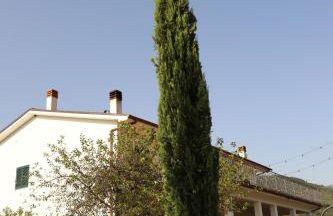 Azienda Agricola Sebastiani - Foto 2