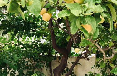 Bella Vista - Foto 51