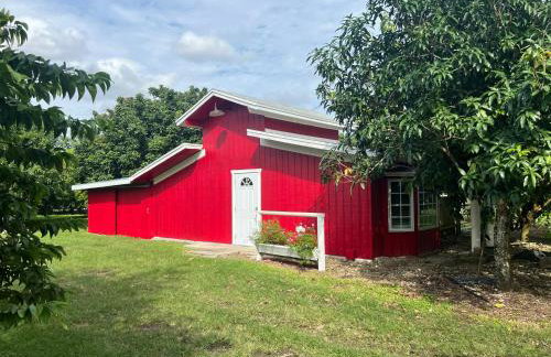 Marias Tropical Tiny Barn a Farm Stay Near Miami & Florida Keys - Foto 3