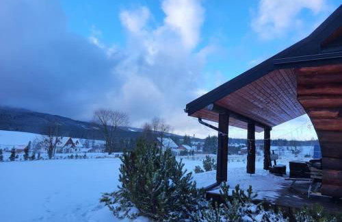 Komfortowy dom z bali koło Zieleńca z widokiem na góry - Foto 23