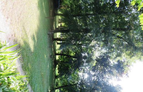 Apartment Lucia - Foto 18