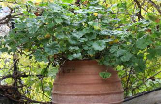 Villa Krassi - Foto 40