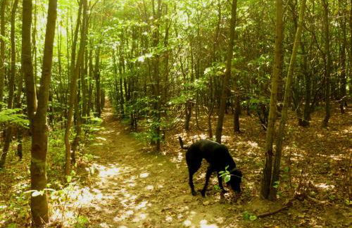 Ferienwohnung Stina - Foto 27