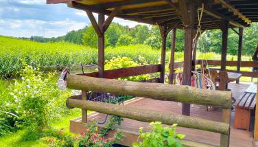 Nad żabim stawem - Foto 4