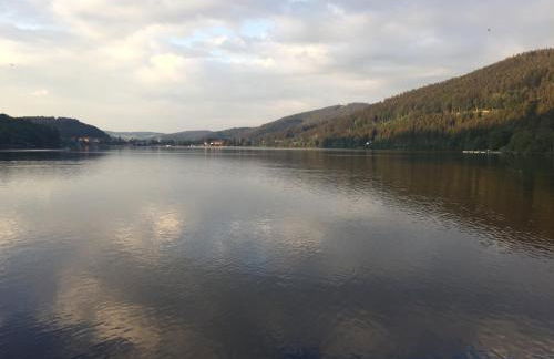 Titisee Haus Vogelnest - Photo 48