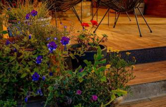 Orzechowy domek - Foto 55