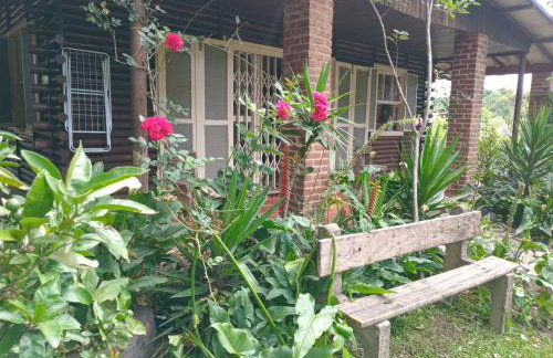 Chalé alpino em canela rs todo mobiliado com cozinha lareira split Wi-Fi 2 quartos perto do centro - Foto 44