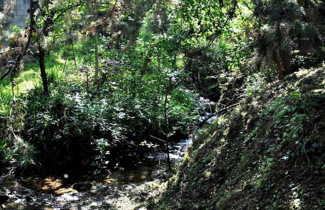 Il Ruscello di Ceraso - Foto 31