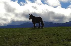 Abuela Carmen - Foto 25