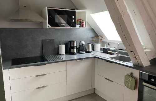 Studio 2 pers ou Appartement 4-7 pers Quartier Cathédrale - Foto 14