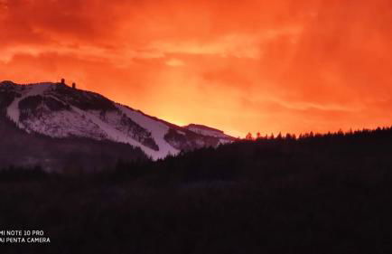 Am Waldrand - Foto 22