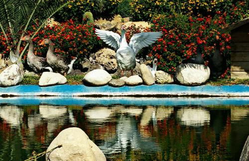 Agriturismo Gianferrante - Foto 38