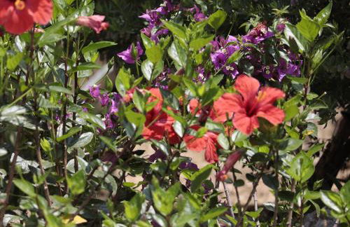 EnBonaMà: alquiler de casa de vacaciones con piscina privada y bonitas vistas - ES-366-12 - Foto 6