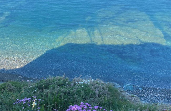 Bell Tent , Carreglwyd Estate, Anglesey - Photo 37