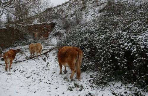 El rincón de Soto - Foto 26