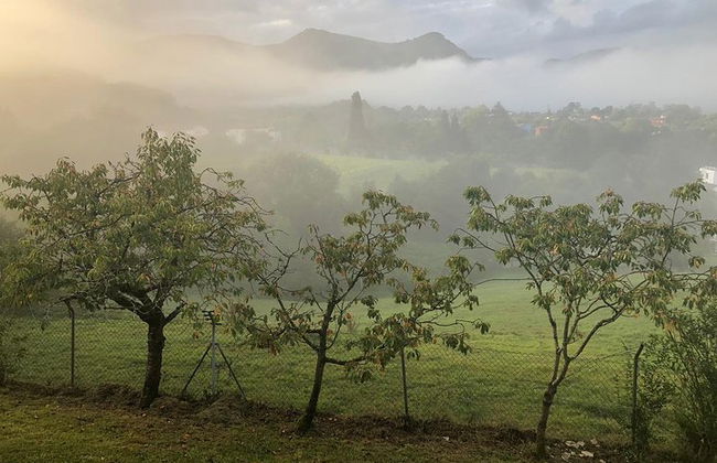 Hiking, eating and relaxing in an 18th century Spa near Oviedo - Photo 4