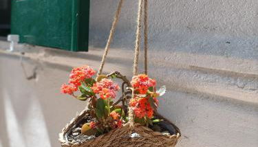 A casa di Cicca - Foto 5