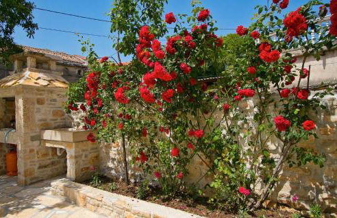 Villa Soricevi Dvori - Foto 20