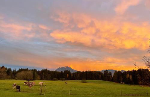 Ferienwohnung Streuobstwiese - Foto 14