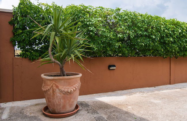 Villa Jakov - Foto 56