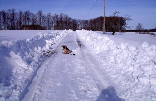 Gîte Les Hirondelles - Foto 31